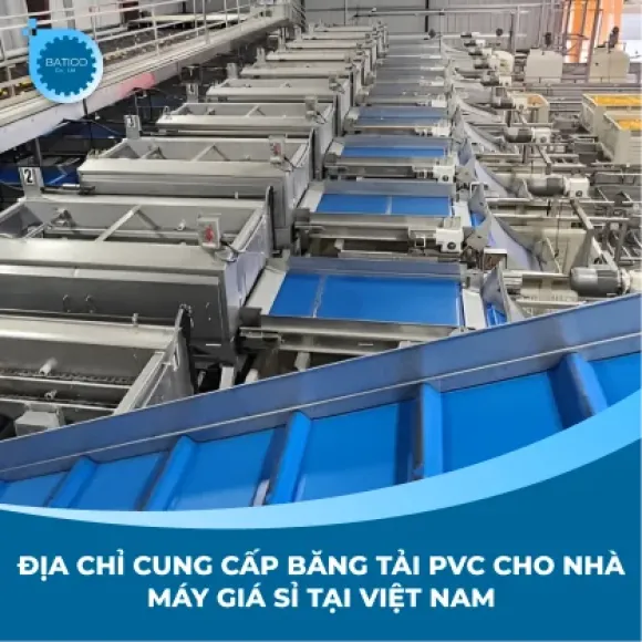 Địa chỉ cung cấp băng tải PVC cho nhà máy giá sỉ tại Việt Nam