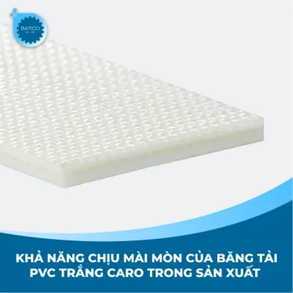 Tin tức