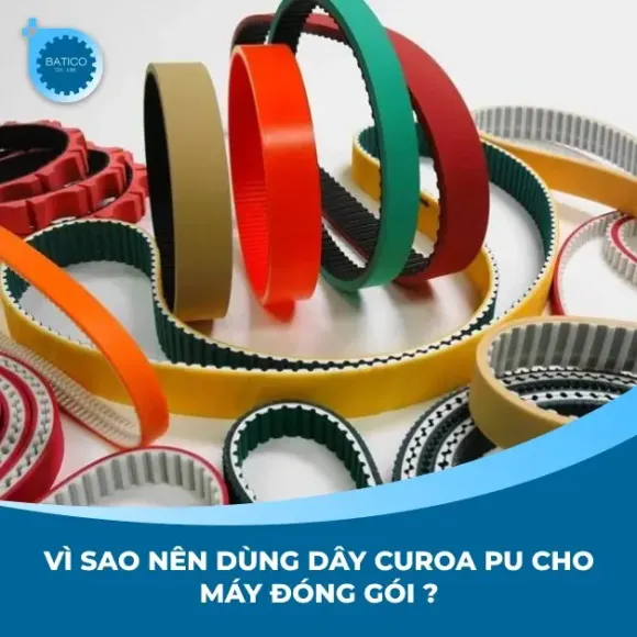 Tin tức