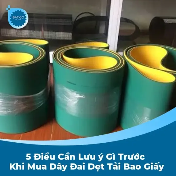 5 điều cần lưu ý gì trước khi mua dây đai dẹt tải bao giấy 