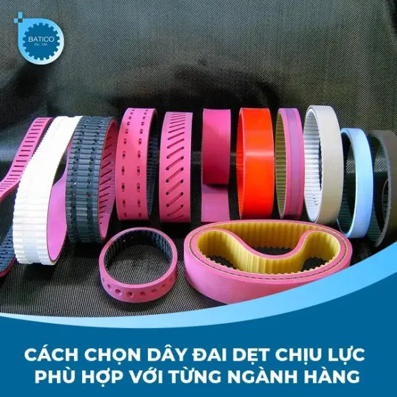 Cách chọn dây đai dẹt chịu lực phù hợp với từng ngành hàng