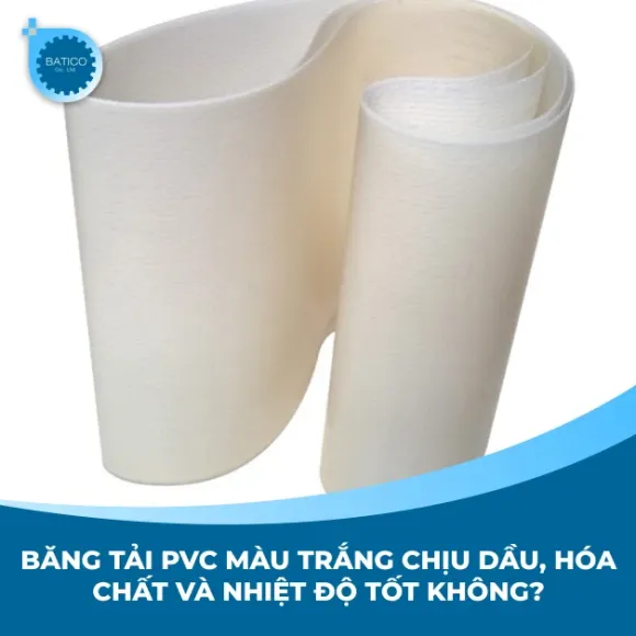 Băng tải PVC màu trắng chịu dầu, hóa chất và nhiệt độ tốt không?