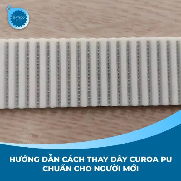 Hướng dẫn cách thay dây curoa PU chuẩn cho người mới