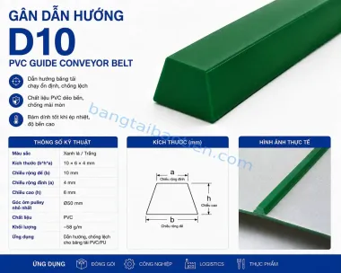 GÂN DẪN HƯỚNG D10