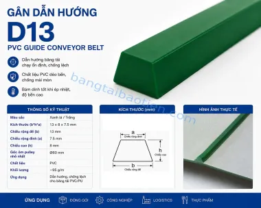 GÂN DẪN HƯỚNG D06