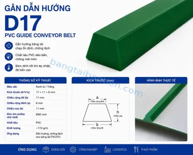 GÂN DẪN HƯỚNG D06