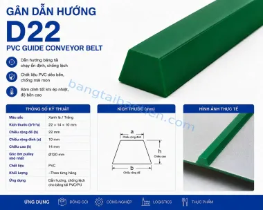 GÂN DẪN HƯỚNG D06