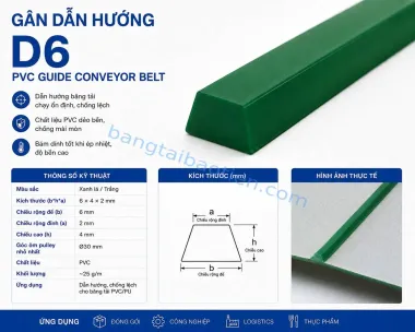 GÂN DẪN HƯỚNG D06