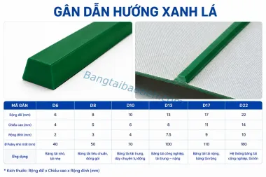 GÂN DẪN HƯỚNG XANH LÁ