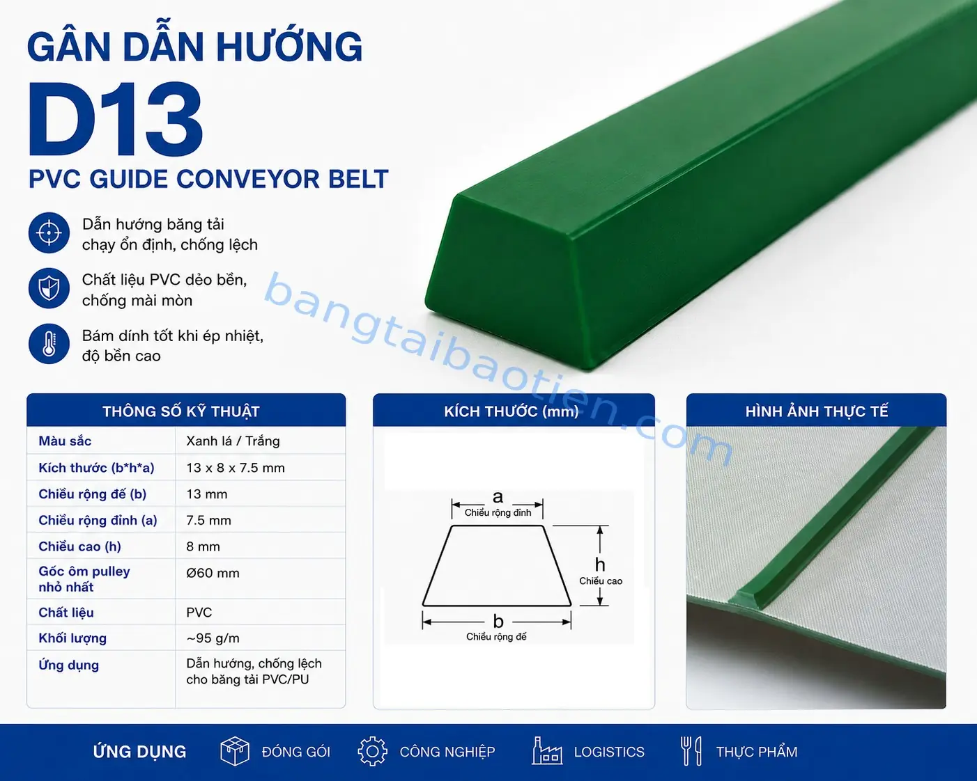 GÂN DẪN HƯỚNG D13