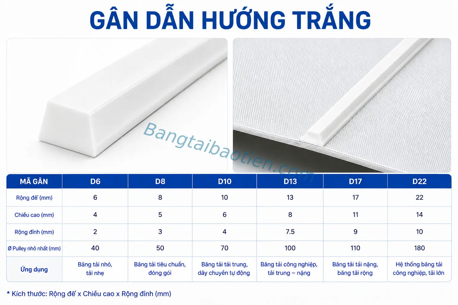 GÂN DẪN HƯỚNG D10