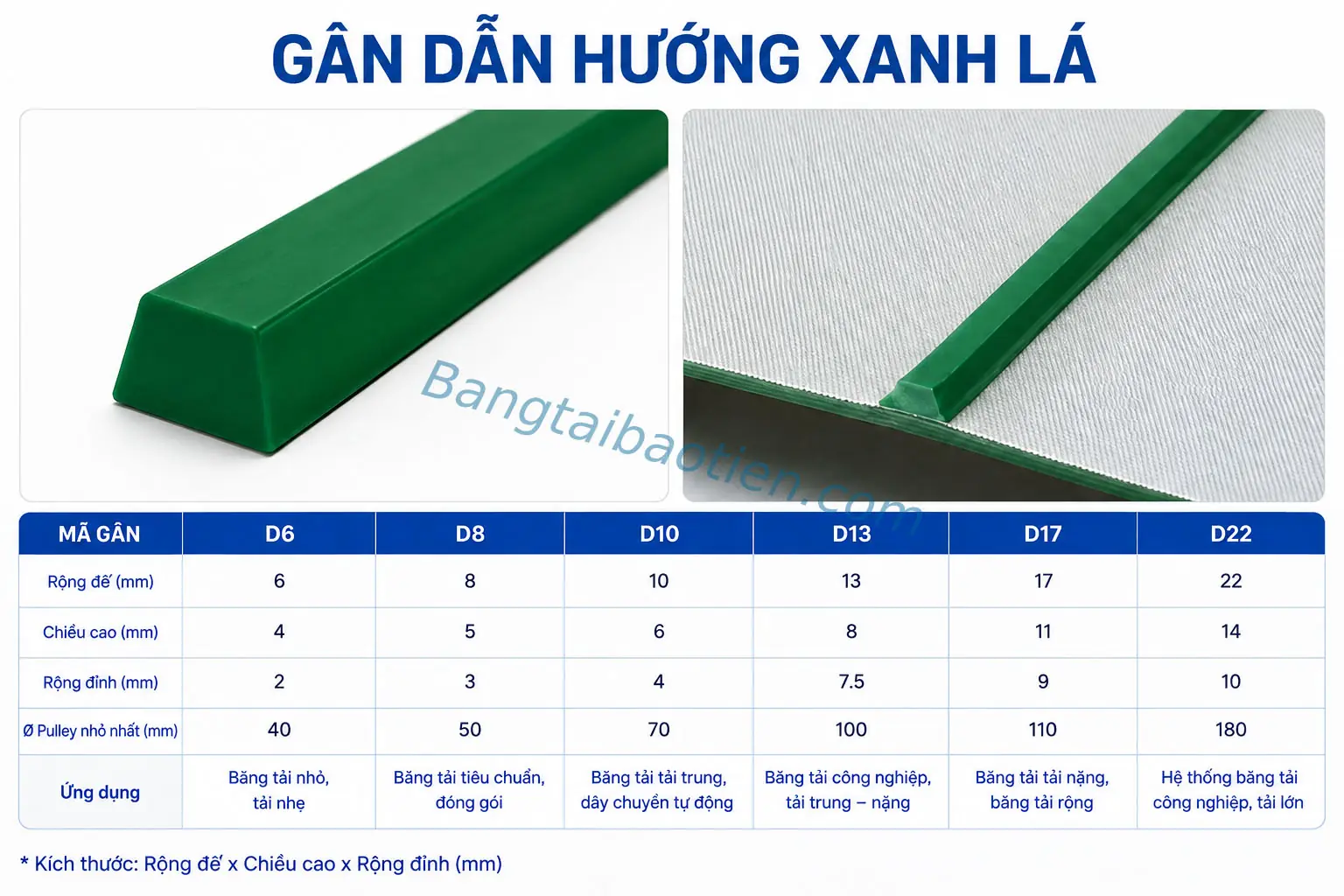 GÂN DẪN HƯỚNG D06