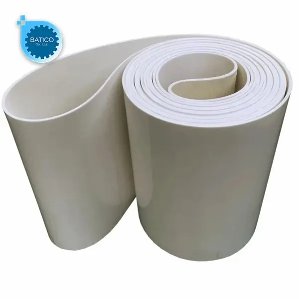 Việc lựa chọn đ&uacute;ng loại băng tải sẽ gi&uacute;p n&acirc;ng cao hiệu suất vận h&agrave;nh v&agrave; giảm chi ph&iacute; bảo tr&igrave; trong d&agrave;i hạn